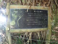 
ホートゥガー

津堅島の見どころとしてはまず第一にここでしょうね

井戸です