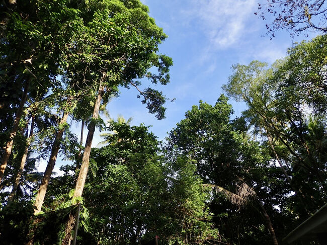 2024/12/10(火) 晴れ<br />バンダ・ネイラ、マサニウエ2日目<br />ーーーーーーーーーーーーーーーーーー<br />マサニウエ2日目。<br />今日は空が良く晴れています。<br />体調は余り良く無いのですが、<br />ここまで来たからには、海の様子を見てみたいと思います。