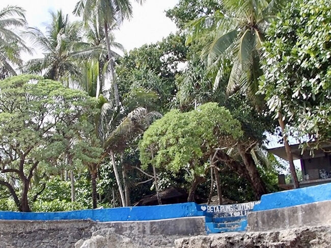 海の上に顔を出します。