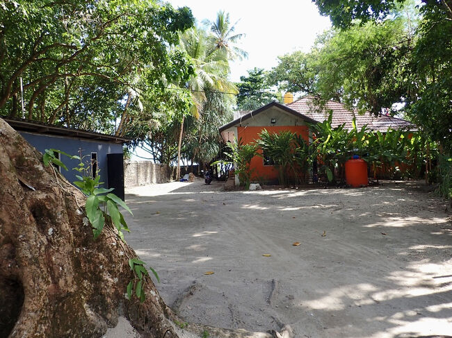 残念ながら、<br />沢山の魚や珊瑚を見れなかったのですが、<br />泳ぎやすいマサニウエの海でした。<br />ーーーーーーーーーーーーーーーー<br />2019/11/27から旅を初めて1838目まで<br />計 9,831,921円使用。<br />1日、5349円 使っています。