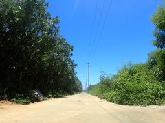 
そこから島の北側をぐるーっと周ってペークーガマというこれまた洞窟を見に行こうと思ってたんだけど

なんと入口（入口に続く道）が閉鎖されてました　残念

今度は島の東側の一本道をずっと南下します