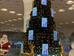 ムンバイにはインド時間の18時半過ぎに到着。今回は別切りなのでいったんインドに入国しました。
なにげにインドのEビザも5年有効になったので5年間25ドルでマルチプルで入国できるようになりました。
出国の4時間前までチェックインできなかったためラウンジで時間を潰しつつ、国際線出発ロビーへ。
クリスマスツリーが飾ってありました。