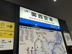 年末年始、奇跡の9連休を海外で過ごす日本人と、年越しを日本で過ごすインバウンド客で駅はごった返していました