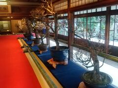 ホテルをチェックアウトし、歩いて慶雲館へ。
9時の開館と同時に中に入る。
ここに来るのは2度目。
前回来たときは満開で、建物の中に入るなり、梅の香りに包まれた。
梅の香りが、屋内に充満していた。
この日はまだ時期が早いのか、つぼみが多く香りも弱かった。