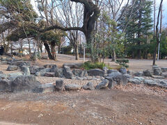 北浦和公園