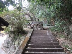 丹鶴城公園の入り口から小高い山（丹鶴山）に登ります。新宮城跡（丹鶴城跡）がそのまま公園になっているようです。