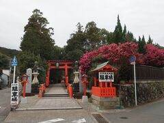 熊野速玉大社にやってきました。熊野本宮大社、熊野那智大社とともに熊野三山を構成する神社です。