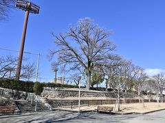 　　ちゃっちゃと任務完了(^^)v
　　
　　電車には乗らず、ビジネスパークから鶴橋まで4駅…歩く