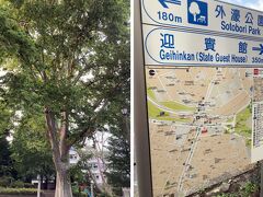 みなみもと町公園を通り、迎賓館の塀を横目に歩くと四谷見附公園に出ました。

＊2019年の赤坂迎賓館の備忘録↓
https://4travel.jp/travelogue/11526364

大きな木の緑陰が、安らぎの空間を醸し出しています。

公園には、中央と北側に大きな2本のプラタナスの木が並んでいて、中央の木は、幹周り4.8m、高さは32mという、新宿区立の公園の中では最大のようです。

1921年に、赤坂離宮前記念公園として一般公開された当時からあった、木のようです。