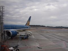 VN307便はB787 です