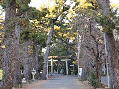 　参道には松が。神社創建時、浜の松をこの神社に移植したことが「浜松」の地名の由来ともされる