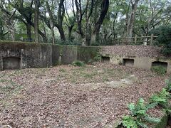 上にもいけます。