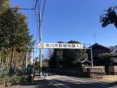 市川市動植物園の入り口だった。