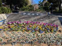 先ず世田谷公園へ