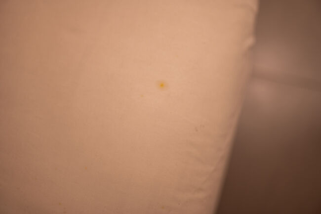 ☆Carani Hotel Yogyakarta（2024/12/21）<br /><br />ホテルへ帰ると、シャワーを浴びてすぐに寝ることにしました。<br />ベッドのシーツを見ると朝食べたカップ麺のソースが付いたままなので、シーツ交換はしてないようです。暑い地域ですので交換しておいて欲しかった。