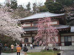 本尊の十一面観音菩薩は、高さ9.18mを誇る日本最大級の木彫仏。