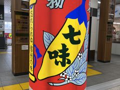 長野駅までやって来ました。
志賀高原から降りて来た主人と合流。
焼額山で滑っていた主人は、プリンスホテルでお昼を食べようとしたものの、あまりのインフレに断念して下まで降りて来て、私が昨日食べ損ねた長野駅のナカジマ会館でお蕎麦を食べたそうです。時間が遅かったのですんなり入れたそうですが、売り切れのメニューが多くて選択肢があまり無かったようです。