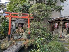 宝蔵寺へ。6日間だけ伊藤若冲の絵を公開している、ということで行ってきました。