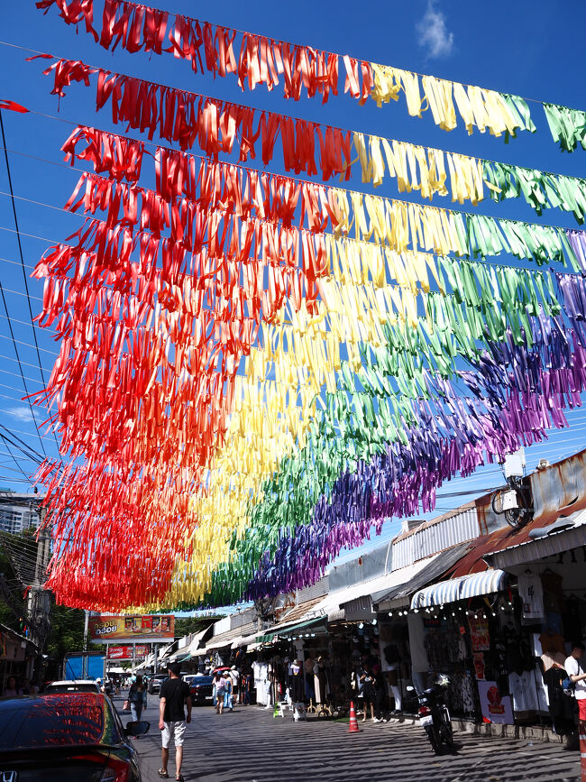 まだ涼しい午前中にきましたがすでに暑い。