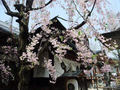 大勧進は、天台宗大本山で善光寺２５院の本坊となっており、開山以来、代々善光寺如来に仕え、民衆の教化と寺院の維持管理にあたっているお寺です。