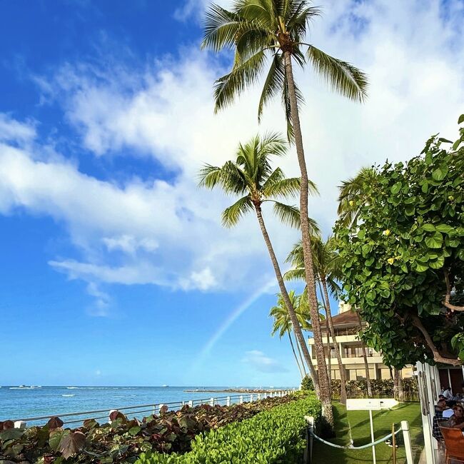 2025年1月kikiさんの今年一発目のHawaii ③』ホノルル(ハワイ)の 2025年1月kikiさんの今年一発目のHawaii ③』ホノルル(ハワイ)の