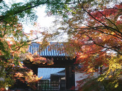 開門前なので、残念ながら今回は拝観できません。
