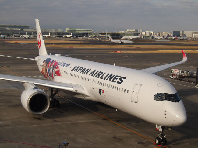 2025.9.1平和のハト 沖縄夜行貝