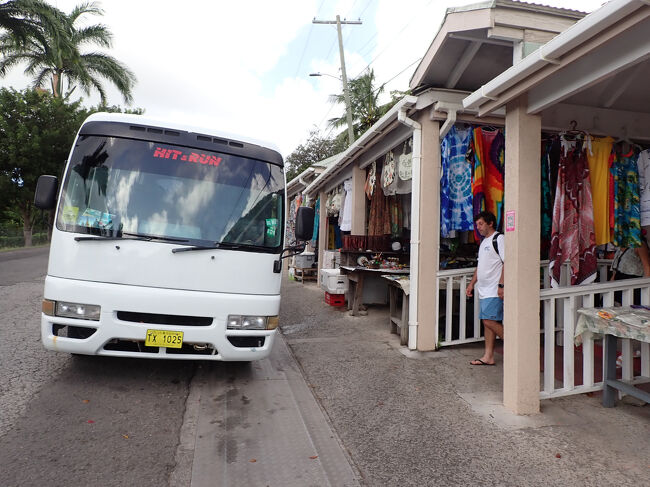 道端に半露店が並ぶエリアにバスが停まった