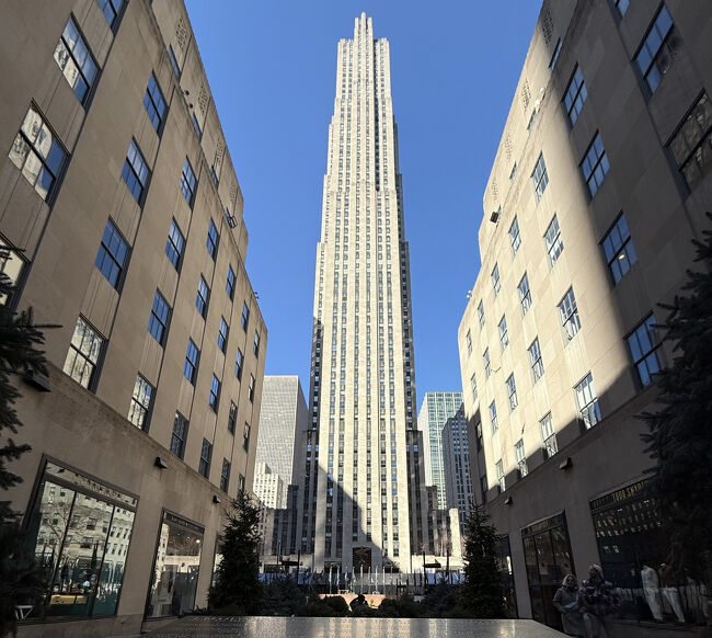 冬のマンハッタンお散歩日記：5番街～セントラルパーク～アッパー