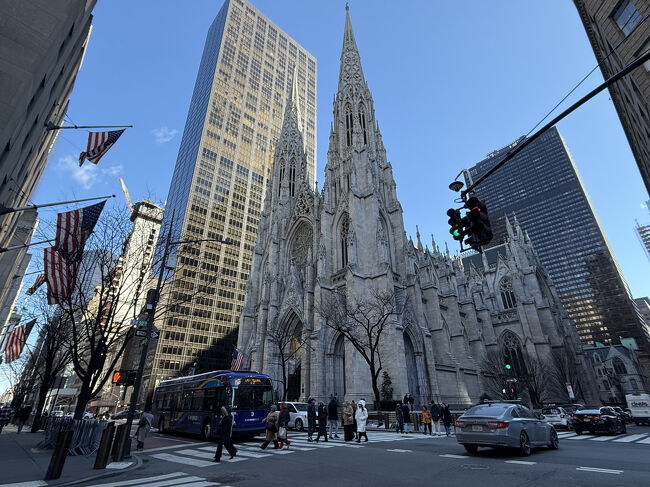 冬のマンハッタンお散歩日記：5番街～セントラルパーク