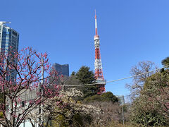 A4出口を出たすぐのところに梅園があります。
東京タワーをバックに写真を撮ることが出来ます。