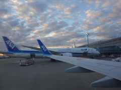 朝一の飛行機で鹿児島に向かって飛び立ちます。