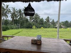 しばらく進むと、カフェやレストランが何軒か連なっていた。入口からここまで、やや登りを30分ぐらい歩いただろうか。その中で、特に景色が良さそうなカフェで休憩。