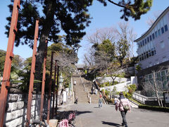 さて、川崎市からのサイクリング。

多摩川に架かる丸子橋付近からのスタートです。

まずは多摩川サイクリングロードを下ってガス橋を渡る。
あ、ルートはいつも舞浜に行くルートでした。
ただ、常にスルーしていた場所に立ち寄るって日。

何かを求めて大回りはいたしません。

ガス橋を渡り環状８号線を横切り。
するとまずは池上本門寺です。

ここは総門の内側に駐輪所がありますが、今回はここ迄。
桜の時期になると、この先にある五重塔と桜を一緒に観れるとても素敵なお寺さん。
