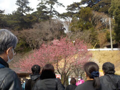 順調に熱海に到着し、バスで熱海梅林へ移動。
梅祭りダイヤでバスは頻発していて待たずに乗れました

梅園入口は大混雑（といってもそんなに待たず入れました）。市内宿泊者の入場料は割引で100円です。中学生以下はタダ(￣▽￣)