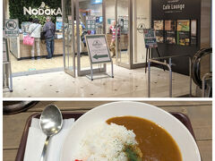 無事に帰国して、帰りのベイシャトルまで時間があったので、プライオリティパスを使ってNODOKAへ。
カレーを食べて、ジュース飲んで、ゆっくり過ごしました。