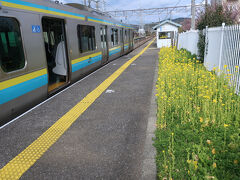 和田浦駅到着、菜の花がきれい