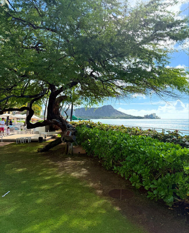 2025年1月kikiさんの今年一発目のHawaii ③』ホノルル(ハワイ)の 2025年1月kikiさんの今年一発目のHawaii ③』ホノルル(ハワイ)の