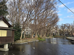 白滝公園横にも綺麗な湧水が流れてます、桜川沿いを歩いて三嶋大社へ向います