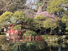 三嶋大社に到着です、神苑には紅梅が綺麗に咲いてますね