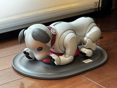 ペットロボットの「aibo（アイボ）」がいます。

ロビーフロアにはインベーダーゲーム？などのマシンもあり、
外国人のお子さんが遊んでいました。

ちなみに『ハイアット セントリック 銀座 東京』では、
ペットは許可されていません。
