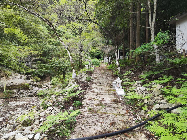 停止テープの手前に張り紙が