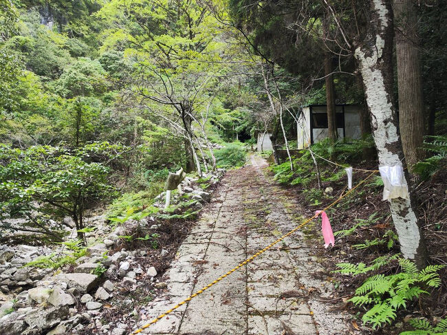 停止テープを超えて前進！