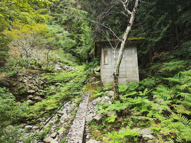 慎重に行こう。