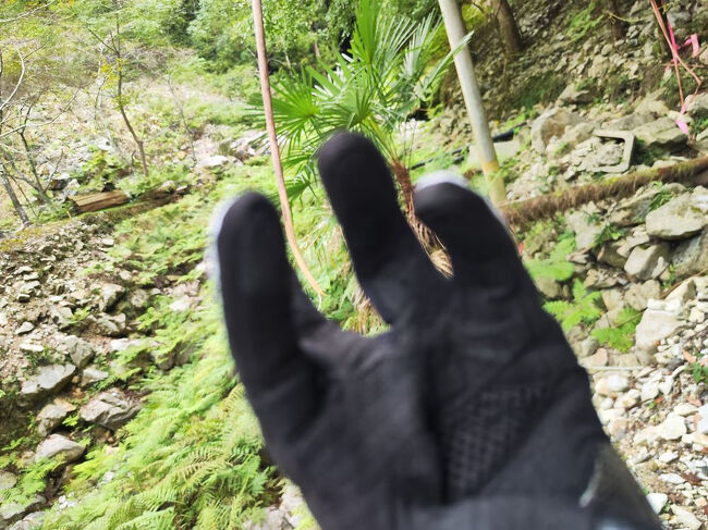 グローブも持ってきたしプロテクター入りのジャケットも着てきたｗ<br />あっちいわｗｗｗ