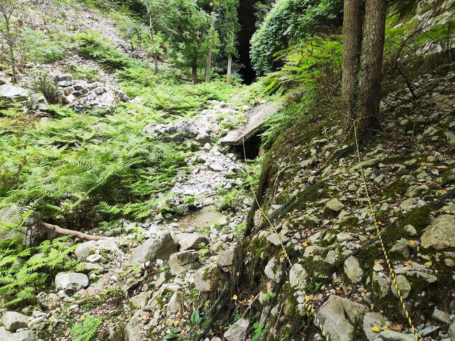 足元と崖上に注意しながら進む・・・ヘルメット持ってくるべきだったか？さすがに大袈裟か。