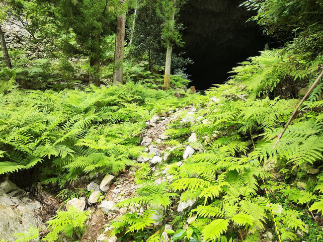 なんか洞窟が真っ暗闇なのが気になるんだが？懐中電灯いらんよね？<br />見事に真っ暗闇だぞ。