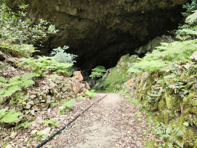 ひゅー・・・登りきったが、こういうのって下りのほうが危ないっていうよね。