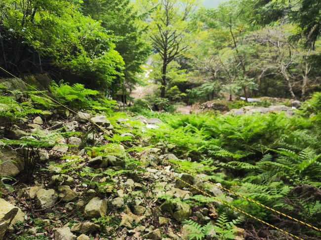 ロープないときに行こうか迷ったことがあったけどいかないで良かったな、結構滑るわ。逆に言えばロープあれば問題なかった。<br />まあ軍手持っていったほうがいいと思う。