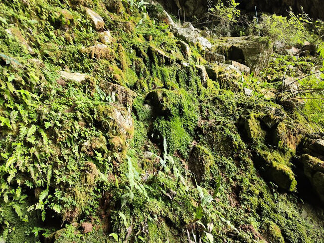 後ろ・・・・？